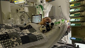 Chrípka jej zničila život. Školáčka po ochorení zostala ochrnutá od krku nadol