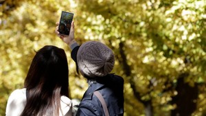 Už ste videli najpopulárnejší jesenný strom? Ľudia naňho čakajú v poradovníku