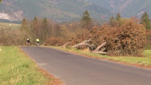 Po tragédii zmizli na mieste nehody stromy. Miestni o tom hovoriť nechcú