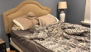 Internetom koluje nová virálna hádanka: Dokážete nájsť na tejto fotke psa?