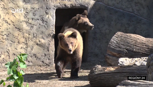 Najpodstatnejšie regionálne spravodajstvo zhrnuté v relácii Regióny 24