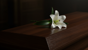 Mladá grécka milionárka zomrela po bodnutí hmyzom, matka viní nemocnice