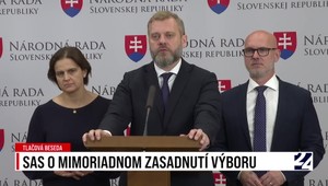 Tlačová beseda SaS o mimoriadnom zasadnutí výboru