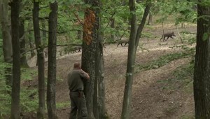 Myslel si, že poľuje na diviaka, ale zastrelil rybára. Prípad vyšetruje polícia