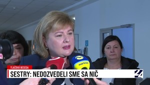 Tlačová beseda šéfky komory sestier po stretnutí s novým ministrom