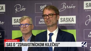 Tlačová beseda strany SaS k zdravotníctvu