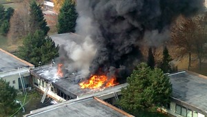 V Bratislave horelo v škole, v Botanickom ústave i v mraziarniach!