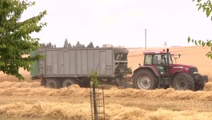 Rozhovory 24: Poľnohospodári zápasia s počasím