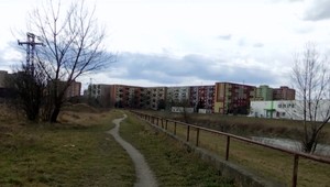 Pozostatky troch diviakov odhodili pri rieke