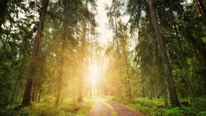 Riaditeľ správy NP Slovenský raj: MŽP: Zonácia stanovuje jasný režim obhospodarovania každého pozemku v národnom parku