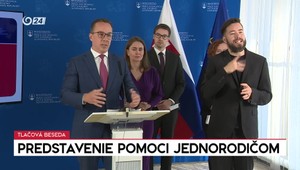 Tlačová beseda ministra práce k predstaveniu pomoci jednorodičom