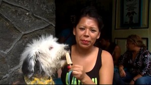 Nový hit vo svete, zmrzlina pre psov