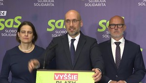 Tlačová beseda SaS o výzve k vláde