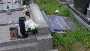 Válal stromy aj náhrobné kamene. Vietor v Podunajskej nížine dosiahol rýchlosť až 80 kilometrov za hodinu