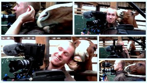 VIDEO. Keď kôň obťažuje kameramana