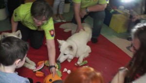 V Banskej Bystrici pomáhajú onkologickým pacientom psy