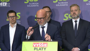 Tlačová beseda strany SaS o aktuálnych témach