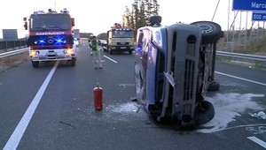 Mikrobusu vbehli do cesty diviaky. Nehodu v Maďarsku neprežil Slovák