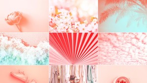 Dámy a páni TOTO je farba roka 2019: Ste z nej sklamaní?