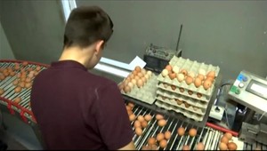 Vaječná zmes s nebezpečným pesticídom sa dostala aj do slovenských hotelov