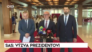 Tlačová beseda strany SaS o zoskupení Brat za Brata