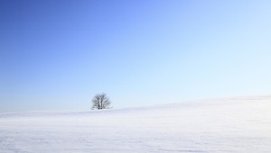 Očarujúci japonský ostrov: Ročne tu napadne až 15 metrov snehu