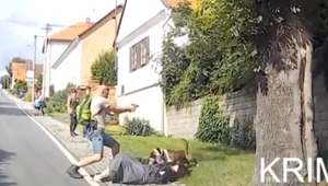 VIDEO: Muž začal strielať po útoku psa. Záznam z palubnej kamery pomohol policajtom k objasneniu