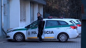 Majiteľku psa, ktorý uhryzol do tváre chlapca, trestať nebudú. Väzenie v tomto prípade hrozí iným