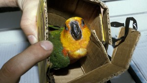 FOTOGALÉRIA. Tieto suveníry si do kufra určite nepribaľte!