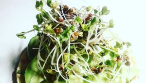 Čo užívať, ak vám hrozí diabetická noha? Zamerajte sa na vitamín B