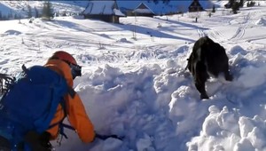 Horskí záchranári sa stretli vo Vysokých Tatrách. Spojil ich tréning štvornohých kolegov