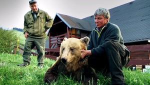 Štefana (62) napadla druhýkrát tá istá medvedica