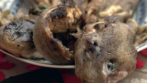 Hlavné jedlo: Dúfam, že ho nestretneš