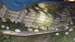 FOTO: Nehoda kamiónu plnej hydiny. Sliepky zablokovali cestu