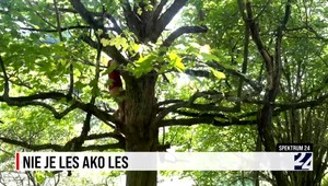 Spektrum 24 o zachytávaní uhlíka v prírode