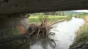 Záplavy spôsobili nánosy drevín pod mostom v Prešove. Následne sa spustila inštitucionálna prestrelka, kto ich má odstrániť