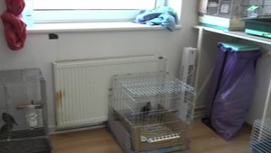 Máme nedostatok rehabilitačných staníc pre chránené živočíchy