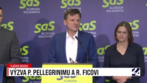 Výzva P. Pellegrinimu a R. Ficovi