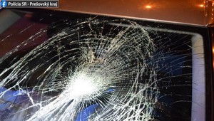 Z prechádzky so psami sa domov nevrátil. Chodca zrazilo auto na priechode