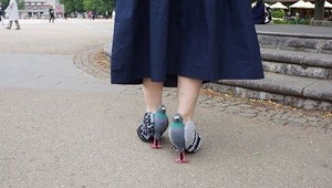 Umelcom sa hranice nekladú: Vysoké topánky v tvare holubov