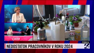 Štúdio 24 o nedostatku pracovníkov v roku 2024