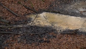 O problém s PCB látkami, ktoré ohrozujú ľudí na Zemplíne, sa zaujímajú aj v zahraničí. Na miesta dorazili experti