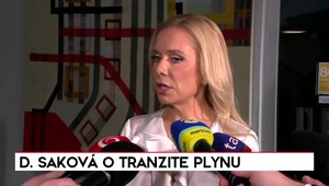 Tlačová beseda Denisy Sakovej o aktuálnych témach