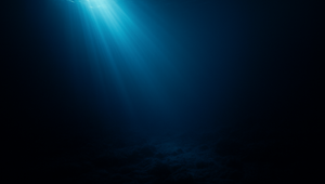 Monštrum bez tváre sa ukázalo v hlbinách oceánu