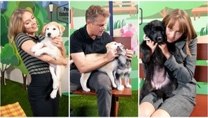 Takéto milé fotky z festivalu ste ešte nevideli: Hviezdy sa nafotili so šteniatkami pre dobrú vec!