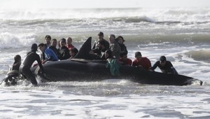 VIDEO: Námorníci, dobrovoľníci a ochrancovia spojili sily. Zachraňovali kosatky