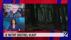 Štúdio 24: Je nutný odstrel vlka?