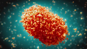 Na Slovensku v minulosti zaznamenali 16 prípadov opičích kiahní. Ako sa šíri nový, nákazlivejší variant?