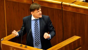 Hlina násilne zobral z lesa diviaka, tvrdí Martvoň