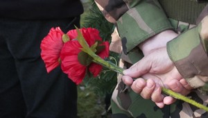 Deň vojnových veteránov: Červené maky ako symbol spomienky na prvú svetovú vojnu